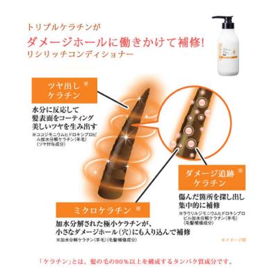 ふるさと納税 糸島市 【5本入】リシリッチコンディショナー[無添加]糸島市/株式会社ピュール[AZA131] |  | 02