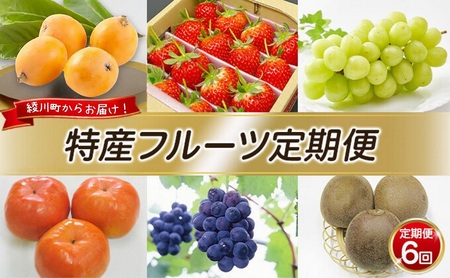 フルーツ定期便 いちご びわ ピオーネ シャインマスカット フルーツ定期便【年6回】