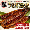 【ふるさと納税】 6ヶ月 定期便 まるが水産 脂ノリ抜群！うなぎの蒲焼き 4尾 中国産 指定日可