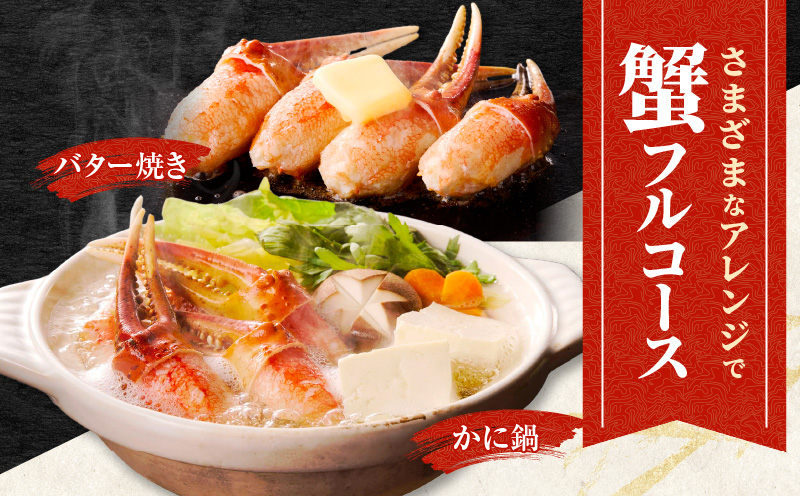 ボイル 本ズワイ蟹 爪肉 500g カット済み（2-3人前）