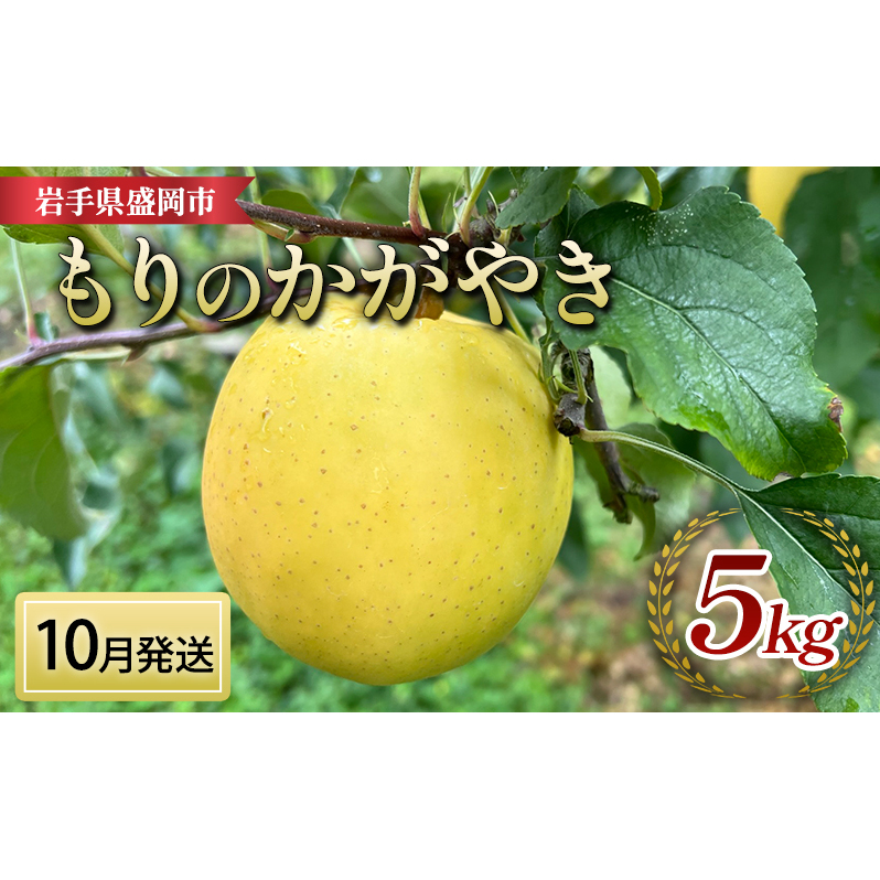 先行予約【10月発送】盛岡　北田りんご園　もりのかがやき　5kg　(14～20個)