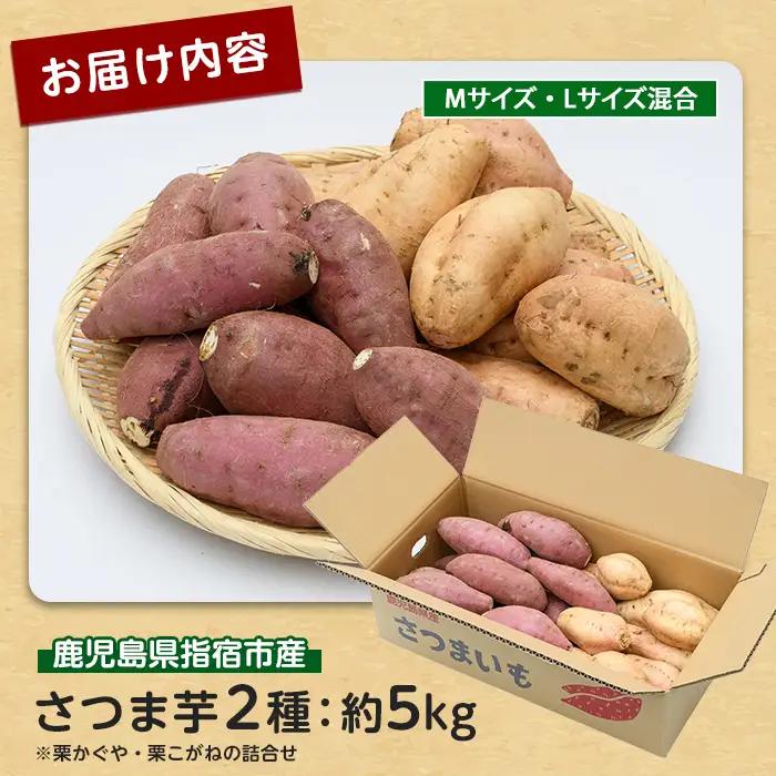さつまいも 2種 栗かぐや 栗こがね 約5kg サツマイモ IB084-002