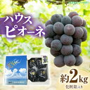 【ふるさと納税】【先行予約】ハウスピオーネ　約2kg化粧箱入り