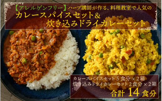 【アレルゲンフリー】ハーブ講師が作る 教室で人気のカレースパイスセット （5食分 × 2箱）& 炊込みドライカレー（2食分 × 2箱） [A-13013]