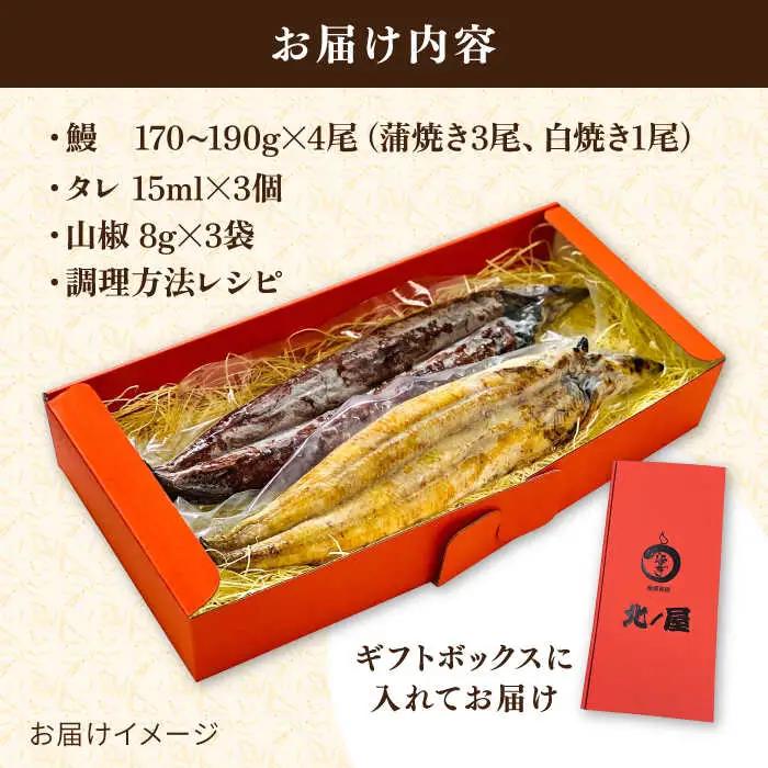 うなぎ 計4尾 うなぎセット 蒲焼き 3＆ 白焼き 1 北ノ屋 (松)  [ACL001] 鰻