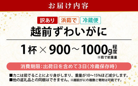 【訳あり】浜茹で 越前がに 約900g～1.0kg × 1杯（茹で前重量） 食べ方しおり付き【2月発送】【雄 ズワイガニ ずわいがに かに カニ 蟹 姿 ボイル 福井県】希望日指定可 備考欄に希望日を