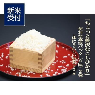 ふるさと納税 村上市 【新米受付・令和8年産米】新潟県岩船産こしひかり4kg&amp;古代米50gセット NA4170