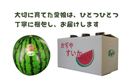 大玉スイカ 祭りばやし777 2玉 農園ビギン すいか すいか すいか