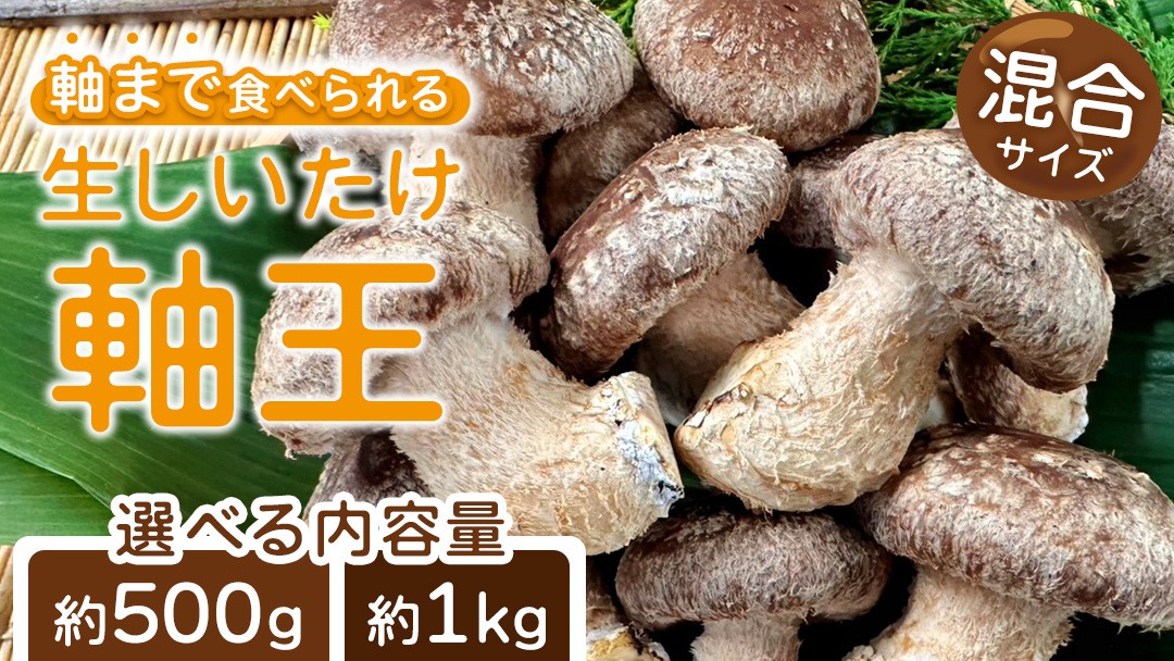 
                  ＼ 選べる 内容量 ／産地直送！軸まで美味しい『軸王しいたけ』サイズ混合 (約500g/約1kg) しいたけ 椎茸 シイタケ きのこ キノコ 野菜 軸が太い 軸まで食べられる 特大 肉厚 旨味 菌床 国産 ぷりぷり ステーキ 椎茸ステーキ 新鮮 BBQ バーベキュー バター焼き 網焼き きんぴら オイル漬け
                