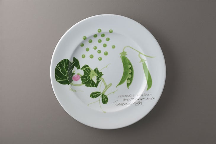 
            【ヴィラデストワイナリー】ベジタブルシリーズ食器　ディナープレート２枚（エンドウとズッキーニ）セット
          