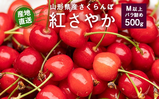 
                  《先行予約》令和9年産 山形県産 さくらんぼ 紅さやか バラパック 500g（パック含む）Mサイズ以上 秀品 【2027年5月下旬頃から6月上旬頃発送予定】※ 配送不可 沖縄・離島　014-A-JF038
                