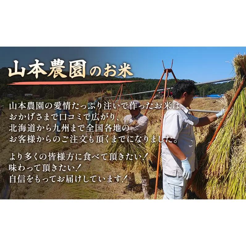 【先行予約】食べ比べ イセヒカリ 新之助 2kg×2 イセヒカリ 山本農園