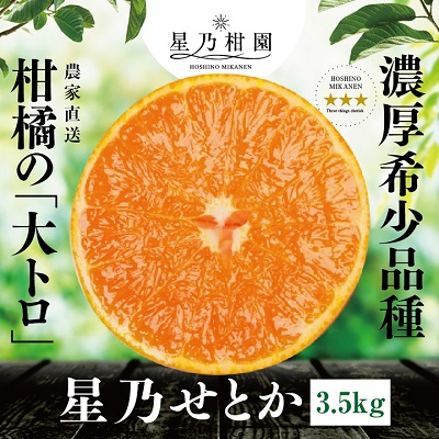 
星乃みかん園の星乃せとか(3.5kg)＜E45-43＞_ セトカ みかん 蜜柑 ミカン フルーツ 果物 くだもの 柑橘類 柑橘 人気 美味しい 愛媛県 八幡浜市 ふるさと 【1339332】
