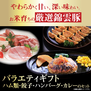 お米育ちの錦雲豚バラエティギフト（ハム類・餃子・ハンバーグ・カレーのセット）　FN0601