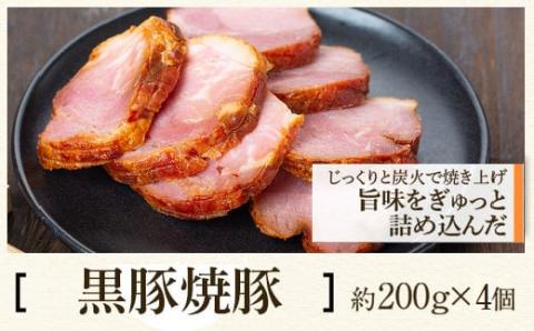 ふるさと2選B （焼豚 約200ｇ×4個、 餃子 12個入×10パック）