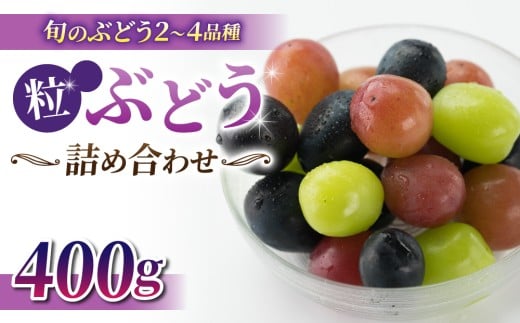 旬の高級ぶどう 粒ぶどうの詰め合わせ 400ｇ