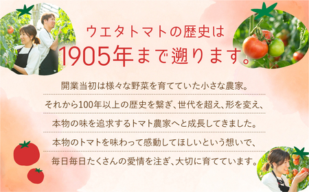 《先行予約》 濃厚！ウエタトマトのトマト 2kg 