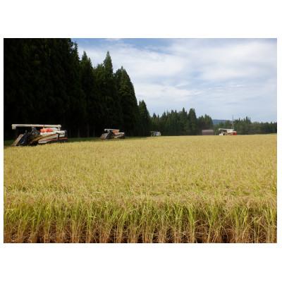 ふるさと納税 十日町市 令和6年産 魚沼産【新之助】精米5kg |  | 03