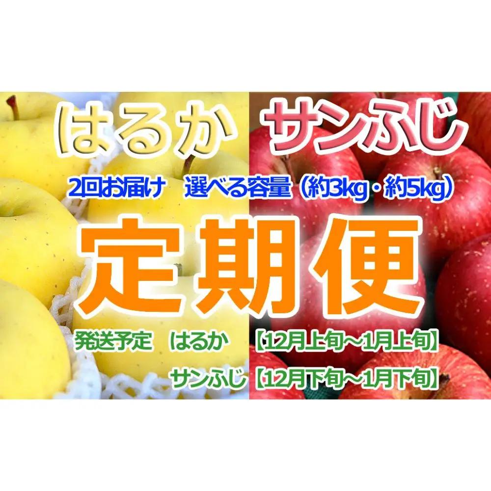 はるか×サンふじ定期便（各３kg）【2026年産・先行予約】