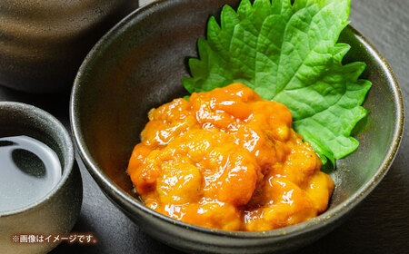 　【冷凍】壱岐産うに丼セット　40g×5食　《壱岐市》　【一支國屋】[JCC022]