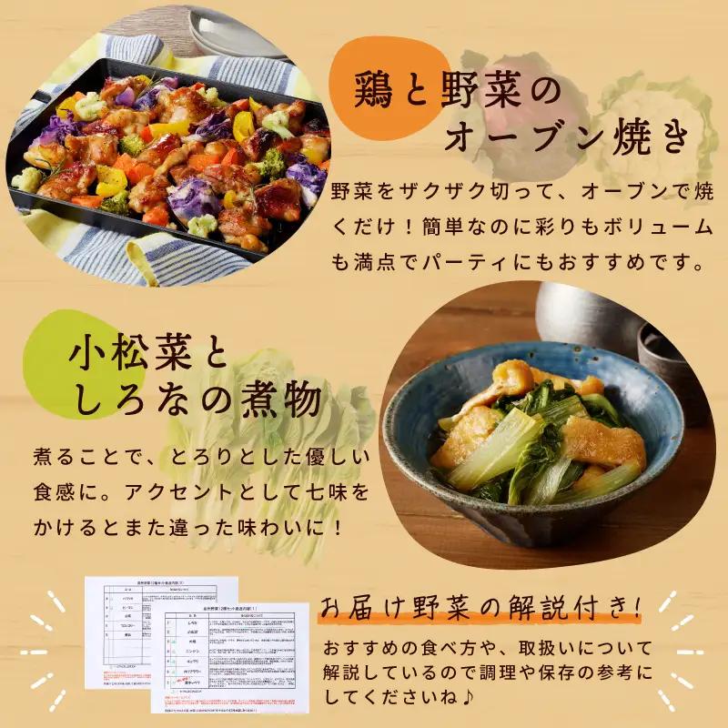 旬の新鮮 野菜セット（7種以上）定期便 全4回 おまかせ ピクルスの素付き ファミリー向け いずみピクルス NSW【毎月配送コース】