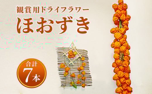 
BS-345 【先行予約】ほおずき 観賞用 ﾄﾞﾗｲﾌﾗﾜｰ 3本×2 +1本(計7本)
