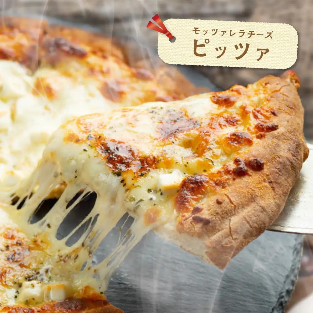 【定期便】森永乳業 モッツァレラチーズ 計900g(100g×9P)×2ヵ月【全2回】チーズ 北海道 別海町