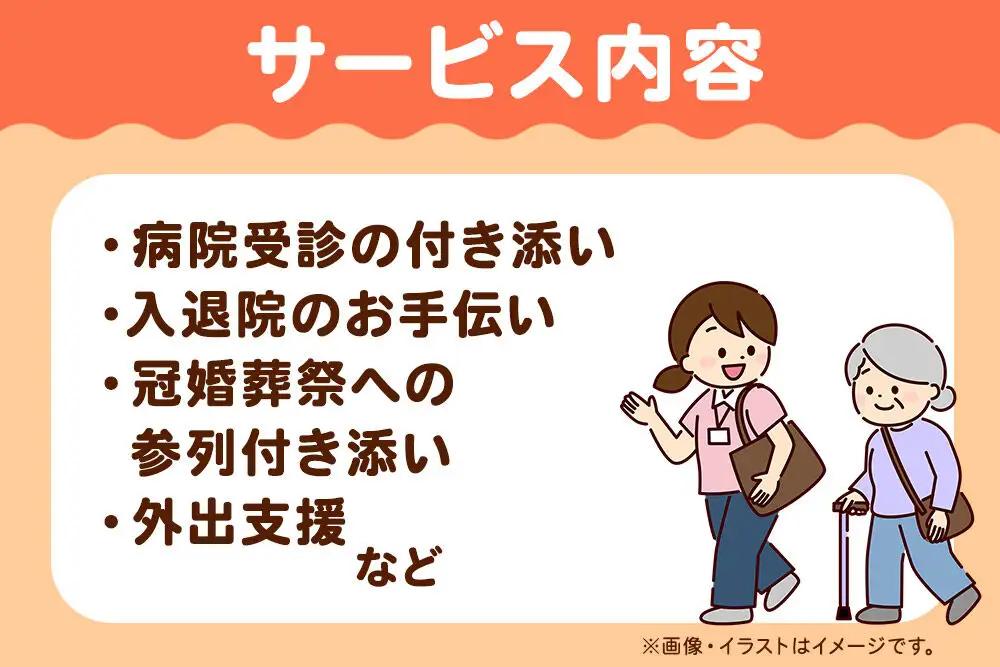付き添い 看護師による通院・外出付き添いサービス 1回 約4時間 レターパックライトでお届け 八郎潟