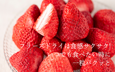 形も味もそのまま楽しめる！完熟あまおう【フリーズドライギフトセット】 (20g×3袋)