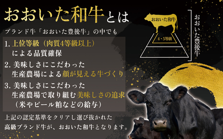 おおいた和牛カルビ・ロース焼肉セット【合計500g】 G23