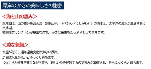 【ANA限定】 定期便 4ヶ月 北海道 厚岸産 牡蠣 Lサイズ 20個 (各回20個×4ヶ月分,合計80個) 殻付き 生食 カキナイフ付き かき カキ