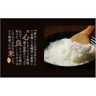 ふるさと納税 真庭市 【令和7年産】米ぬか牡蠣殻栽培米コシヒカリ『一心良米』白米5kg |  | 01
