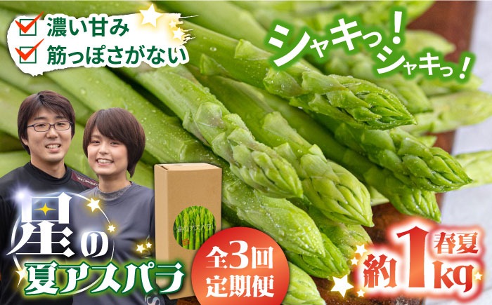 【3回定期便】【星のアスパラ】春・夏 の グリーン アスパラガス 約1kg / アスパラ 野菜 / 南島原市 / ほしのYA[SEY016]