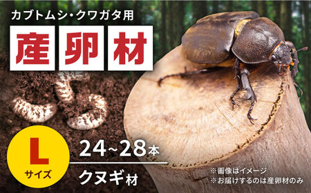 オリジナル産卵材 Lサイズ カブトムシ クワガタ クヌギB材 【ふるさと昆虫】[YDV004]