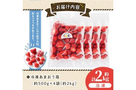 苺の王様！冷凍あまおう苺(計2kg・約500g×4袋)ふるさと納税 春日市 特産品 いちご イチゴ 冷凍 シャーベット ヨーグルト ジャム＜離島配送不可＞【ksg0065】【南国フルーツ】