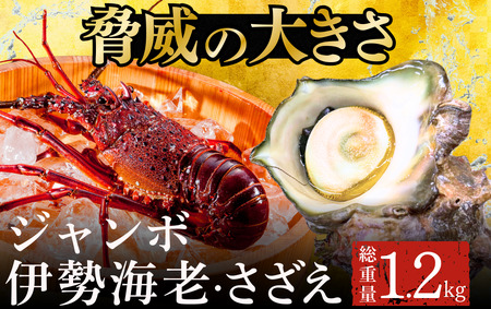 ジャンボ伊勢海老・ジャンボざざえセット[A]　【 伊勢海老 さざえ 】