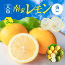 【ふるさと納税】レモン 天草南蛮レモン 等級 秀 3kg フルーツ 露地栽培 お陽さま 光 たっぷり 浴びた 果皮ごと食べられる グリーンレモン 完熟レモン イエローレモン 天草市 下浦町 国産 お取り寄せ 送料無料