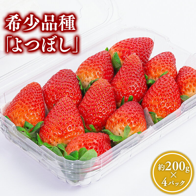 【ふるさと納税】青森県産 いちご よつぼし 約200g×4パック (パック詰め)【青森県 平川市 しあわせj-Farm】いちご イチゴ 苺 くだもの 果物 フルーツ 希少品種 希少
