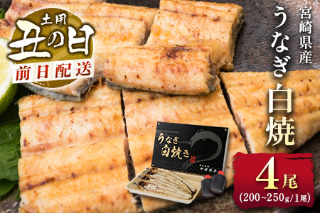 前日配送予約［土用丑の日］うなぎ白焼き 4尾 タレ付（200～250g/1尾あたり）※前日7月25日お届け 国産 有頭 熨斗 贈答品 ギフト 配送日指定可【N47-A26】
