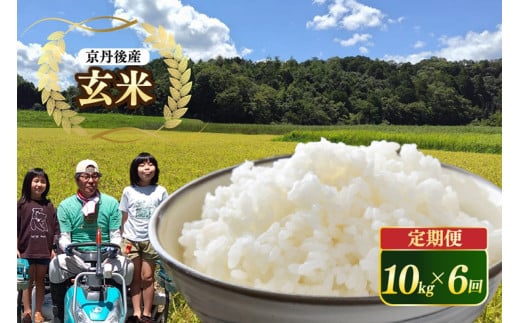 京都 丹後産コシヒカリ（玄米10kg）6カ月定期（10月から3月まで毎月上旬1回）農家直送 こしひかり お米 おこめ こめ ご飯 ごはん　MD00004