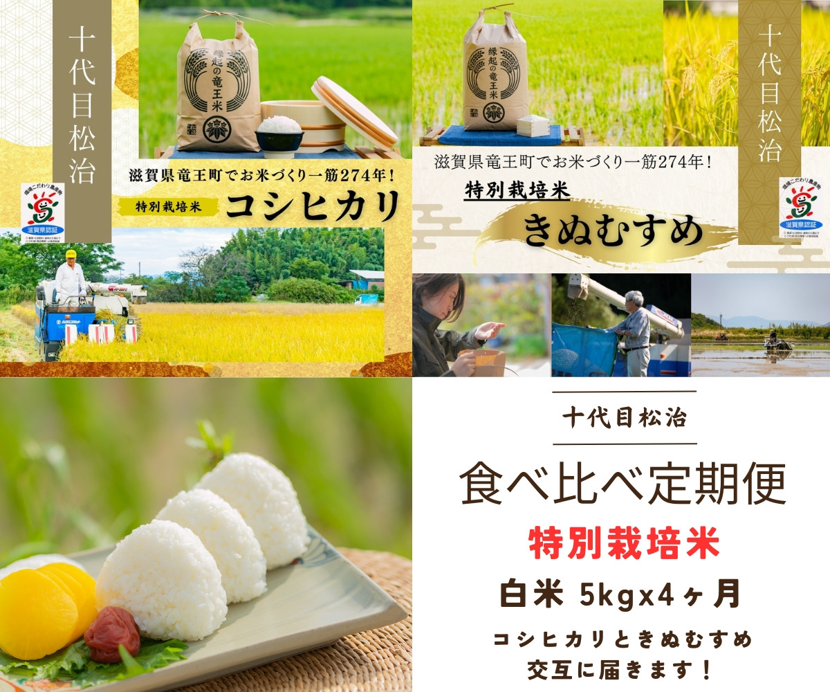 
【新米予約】 定期便 コシヒカリ きぬむすめ 食べ比べ 白米 各5kg × 4ヶ月 ( 令和6年産 先行予約 新米白米 5kg 20kg 定期 4回 2品種 お米 おこめ ごはん 米 特別栽培米 ブランド米 ライス こだわり米 ギフト 国産 縁起の竜王米 滋賀県竜王町 )
