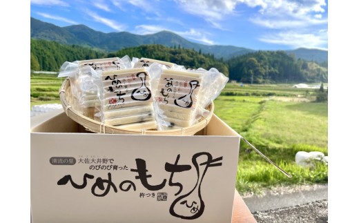 オリジナルの箱に詰めてお送りします。