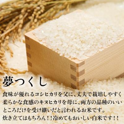 ふるさと納税 春日市 新米!!令和7年産 福岡県産米 夢つくし 合計20kg(5kg×4袋)(春日市) |  | 01