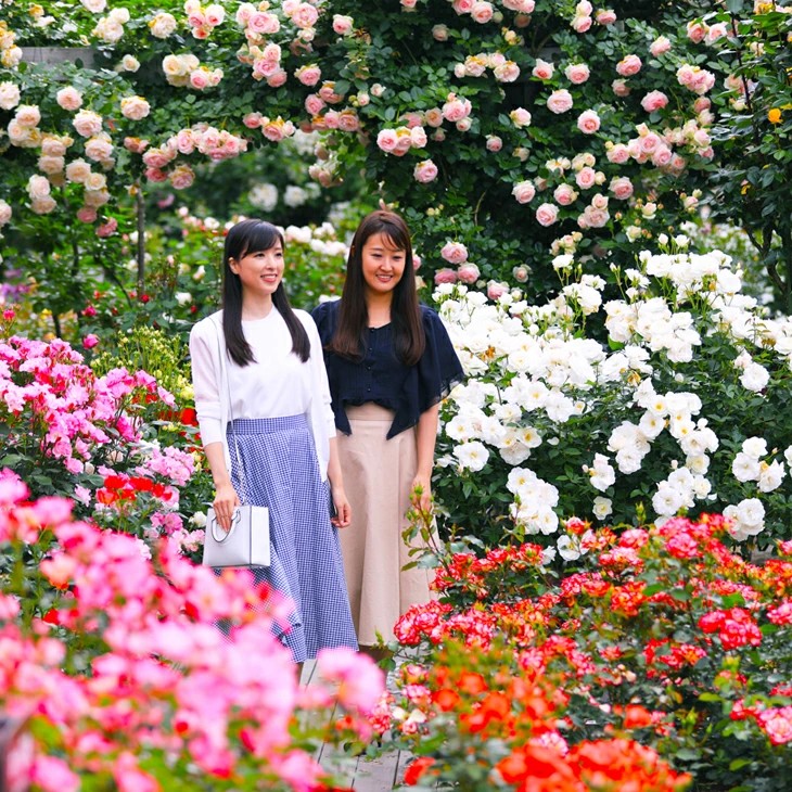花巻温泉に泊まる ペア宿泊券<温泉貸切風呂利用付プラン> 【1541】_イメージ4