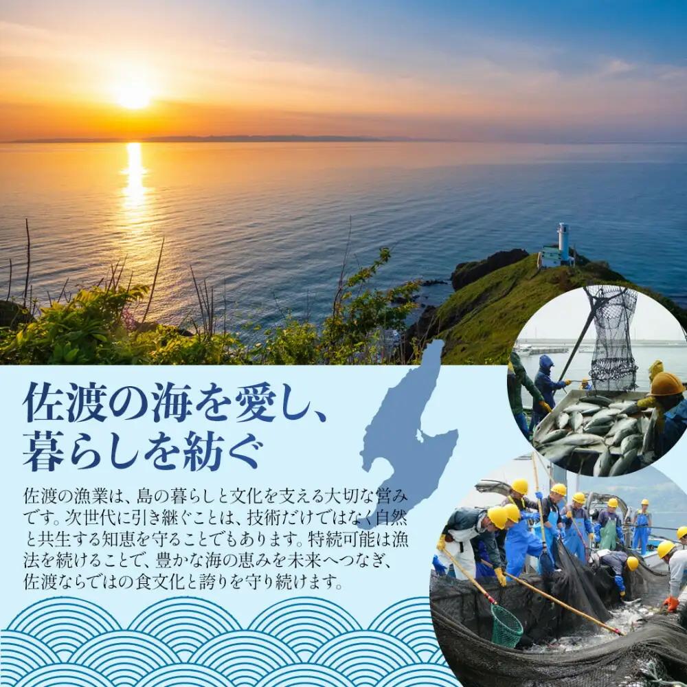 【先行予約2026年2月発送】佐渡産 鰤 ぶり 3種の味付けセット 焼き上げ加工済 |新潟県