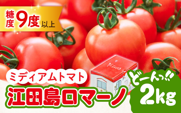 食の安全を守る！自然を活用した低農薬栽培！江田島ロマーノ トマト 2kg 江田島市/有限会社グリーンファーム沖美[XAB005]