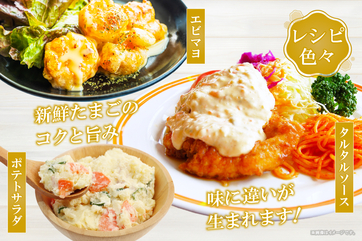 【定期便3ヶ月】たまご農家のマヨネーズ（2本）