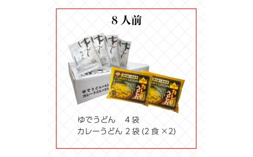 【定期便6回毎月】さぬきうどん ＆ コク旨 カレーうどん 詰め合わせ セット 8人前 定期便 6回 ダシ付き スープ付き 宮武讃岐製麺所 丸亀からお届け 讃岐うどん 食べ比べ 麺 麺類 うどん カレー