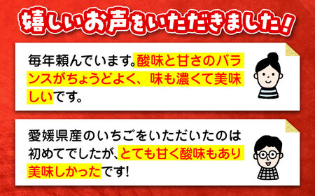 【先行予約】【2025年1月初旬より順次発送】ほっぺが落ちるおいしさ！紅ほっぺ（Mから3L）×8パック 約2000g　愛媛県大洲市/沢井青果有限会社 [AGBN027]苺いちご果物苺いちご果物苺いちご