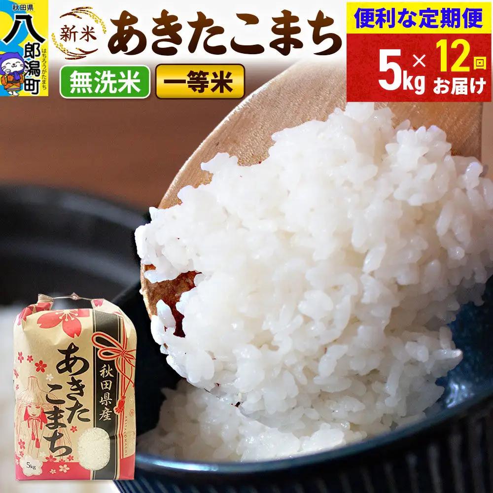 《新米》《定期便12ヶ月》あきたこまち 一等米 5kg【無洗米】 令和8年産 秋田県産 こまちライン
